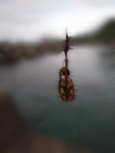 サイトエギング